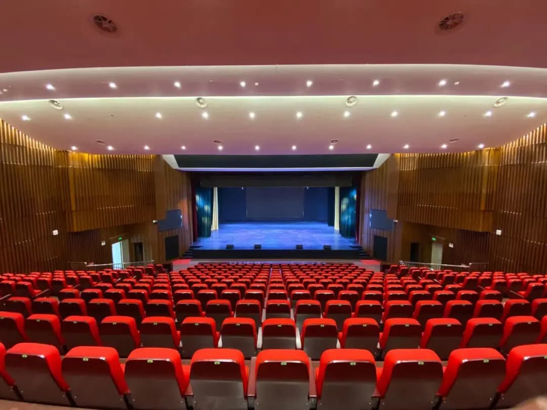 庐阳剧院 seating chart 1